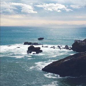 Meet your Posher, Genevieve